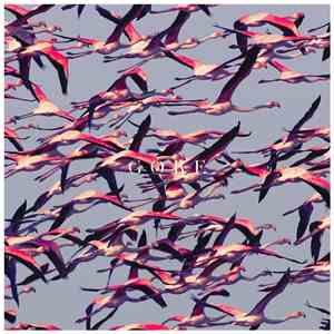 Deftones - Gore FLAC