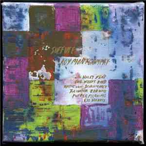 Roy Montgomery - Suffuse FLAC