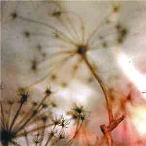 All The Pretty Things - All The Pretty Things FLAC