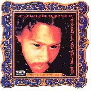 Criminal Trigga B - Portrait Of A Hustler FLAC