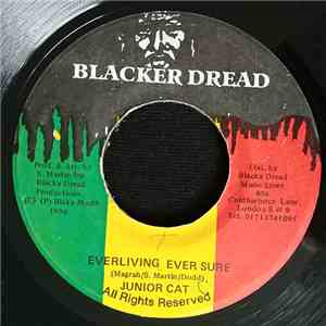 Junior Cat - Everliving Ever Sure FLAC