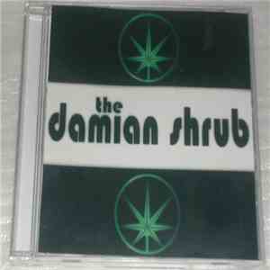 The Damian Shrub - Rush Hour Traffic FLAC