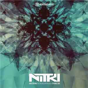 Nitri - Undeserving / Strange Side FLAC