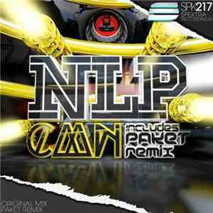 NLP  - CMN FLAC