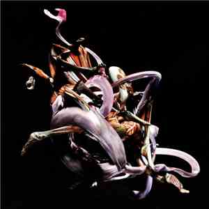 Various - Mykki Blanco Present C-ORE FLAC