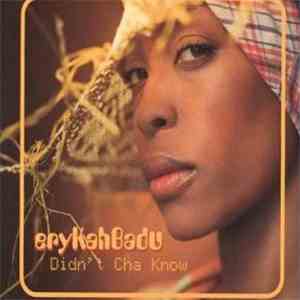 Erykah Badu - Didn't Cha Know FLAC