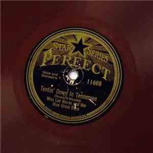 Miss Lee Morse And Her Blue Grass Boys - Tentin' Down In Tennessee / Poor Papa FLAC