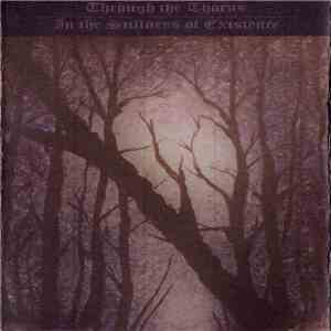 Through The Thorns - In The Stillness Of Existence FLAC