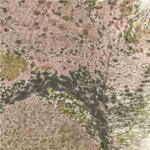 Light Collapse - Coloured Walls Part 1 FLAC