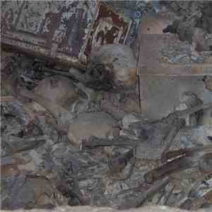 Feral Witness - Untitled I‒VII FLAC
