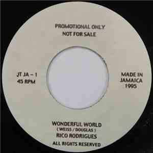 Rico Rodrigues - Wonderful World FLAC