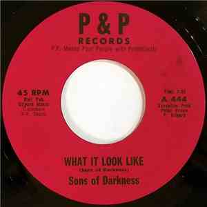 Sons Of Darkness - What It Look Like FLAC