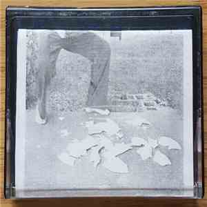Wingnut Dishwashers Union - Smash the Plate! FLAC