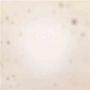 Yo La Tengo - There's A Riot Going On FLAC