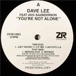 Dave Lee Feat Ann Saunderson - You're Not Alone FLAC