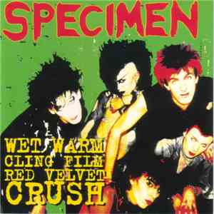 Specimen - Wet Warm Clingfilm Red Velvet Crush FLAC