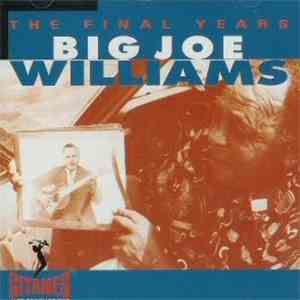 Big Joe Williams - The Final Years FLAC