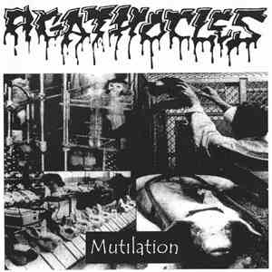 Agathocles / Din-Addict - Mutilation / We Hate Hungarian Scene FLAC