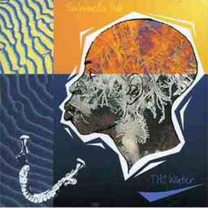 Salmonella Dub - THC Winter FLAC