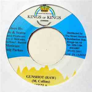 Sizzla - Gunshot FLAC