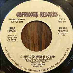Sea Level - It Hurts To Want It So Bad FLAC