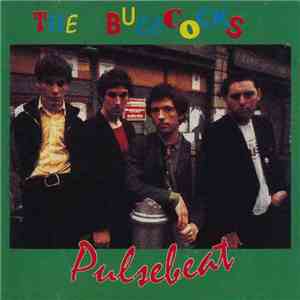 Buzzcocks - Pulsebeat FLAC