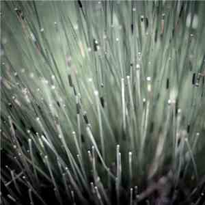 Ian Hawgood - We Are Better For Being Built This Way FLAC