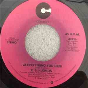 R.B. Hudmon - I'm Everything You Need FLAC