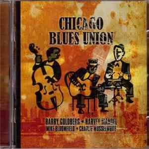 Barry Goldberg - Chicago Blues Union FLAC