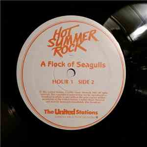 A Flock Of Seagulls - Hot Summer Rock FLAC