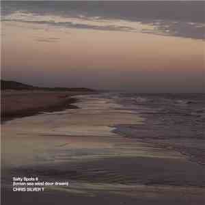Chris Silver T - Salty Spots II (Ionian Sea Wind Door Dream) FLAC