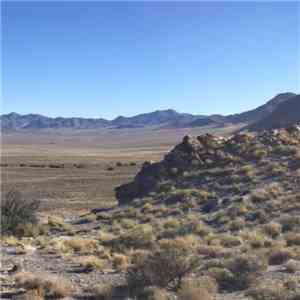 3 a.m. person - Transmisiones En El Desierto FLAC