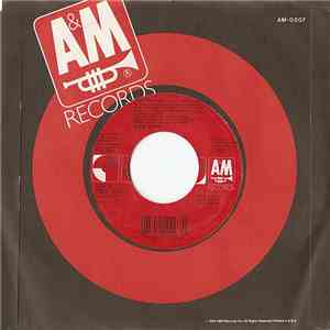 Amy Grant - Every Heartbeat FLAC