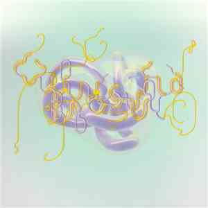 Björk - History Of Touches (Krampfhaft Remix) FLAC