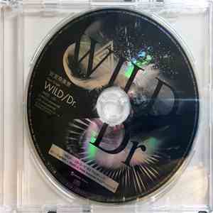 安室奈美恵 - Wild / Dr. FLAC