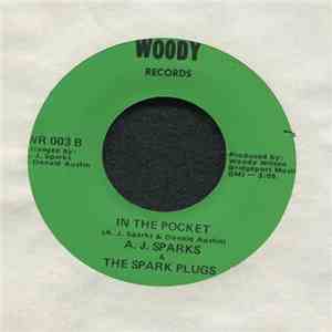 A.J. Sparks & The Spark Plugs - Moove To The Grove / In The Pocket FLAC