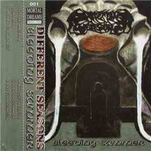 Different Seasons - Bleeding Summer FLAC