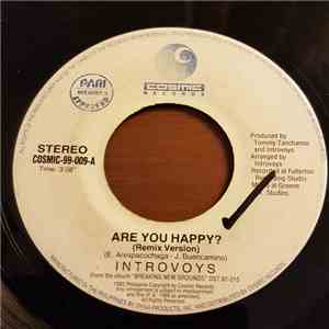 Introvoys - Are You Happy? (Remix Version) FLAC