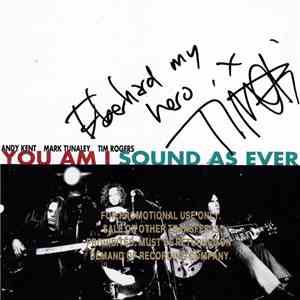 You Am I - Sound As Ever FLAC