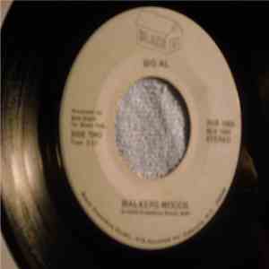 Big Al - A Warm, Soft And Gentle Love / Walkers Woods FLAC