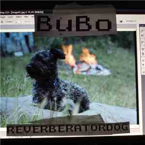 Bubo - Reverberatordog FLAC