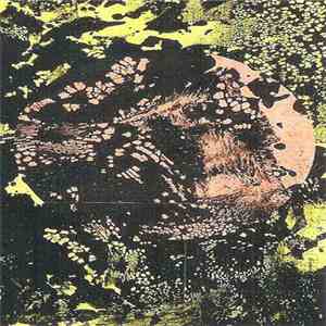 Endless Time - Removal FLAC