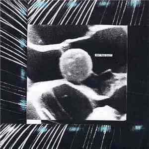 Matthew Nicholson / The Reactions  - split 7" FLAC