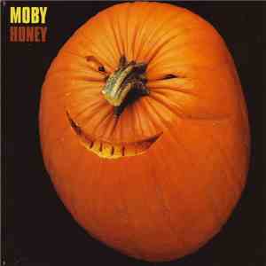 Moby - Honey FLAC