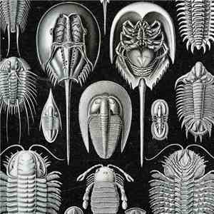 Teknomom - La Marche Des Arthropodes FLAC