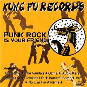 Various - Punk Rock Is Your Friend FLAC