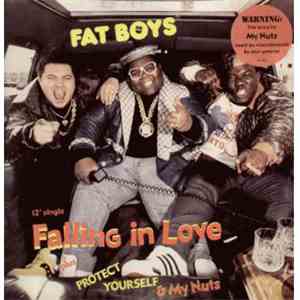 Fat Boys - Falling In Love FLAC