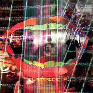 Animal Collective - Centipede Hz FLAC