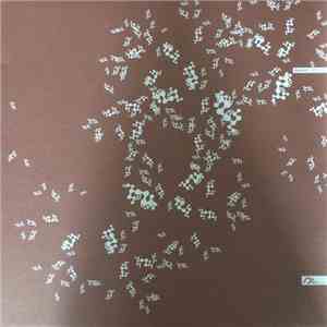 Anonym - Dam EP FLAC