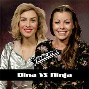 Dina VS Ninja - At Seventeen FLAC